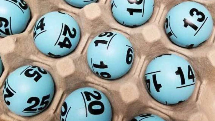 Trực Tiếp Đá Gà: Tất Cả Những Gì Bạn Cần Biết